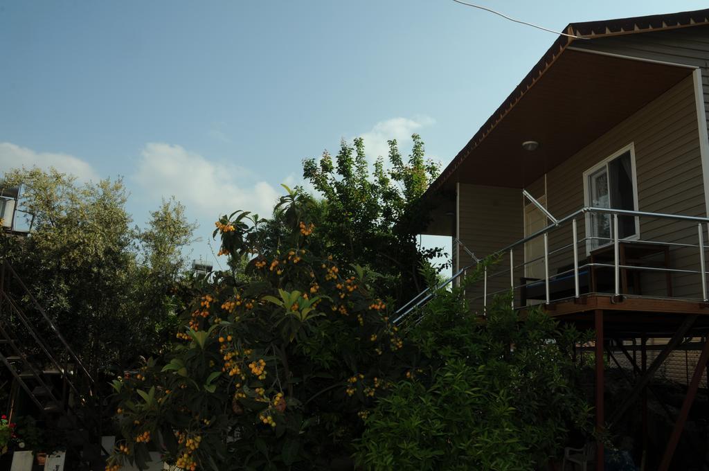 Likya Pansiyon Kaleucagız Exterior foto